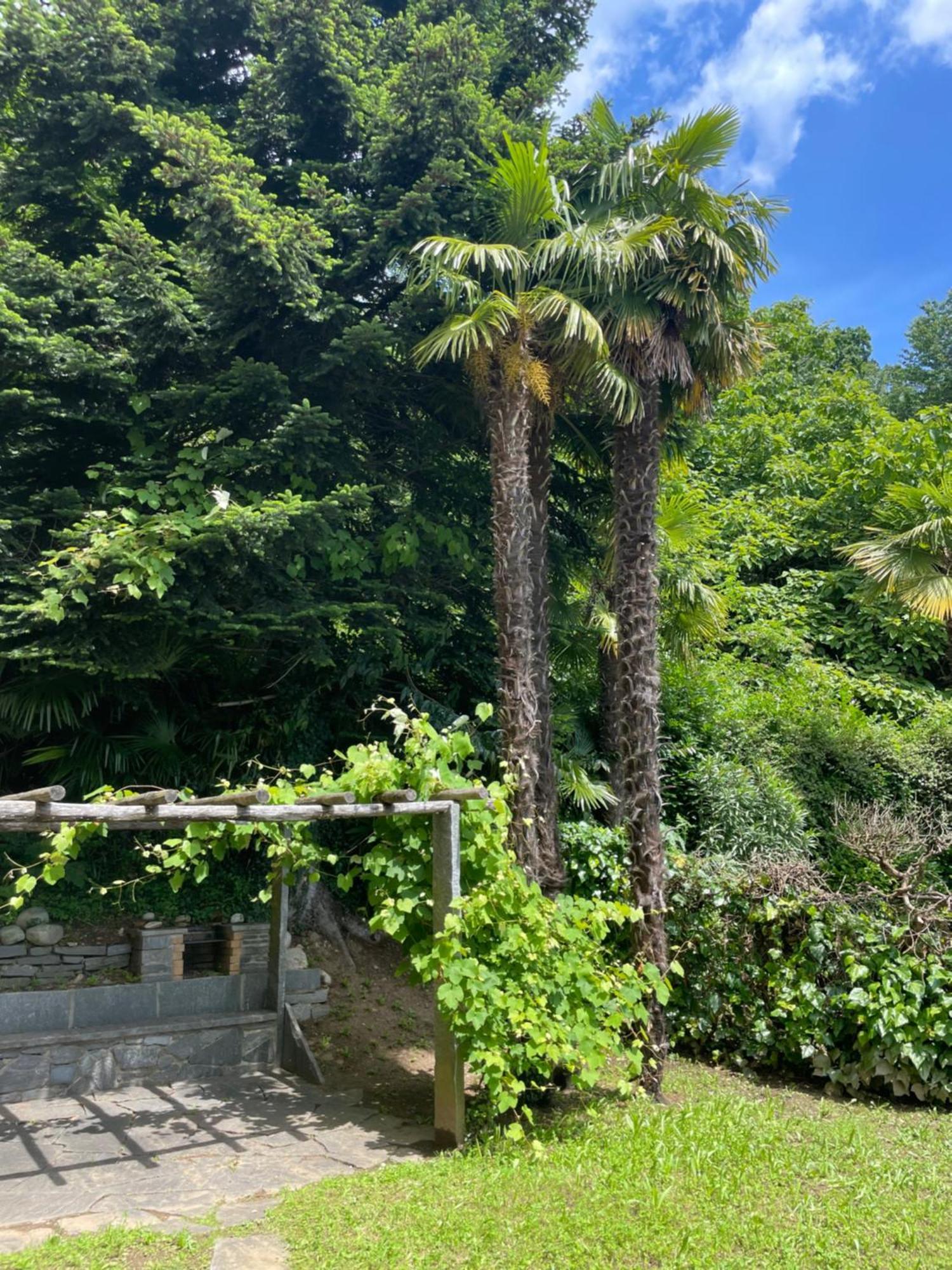 诺沃特纳公寓 彭特特蕾莎 外观 照片